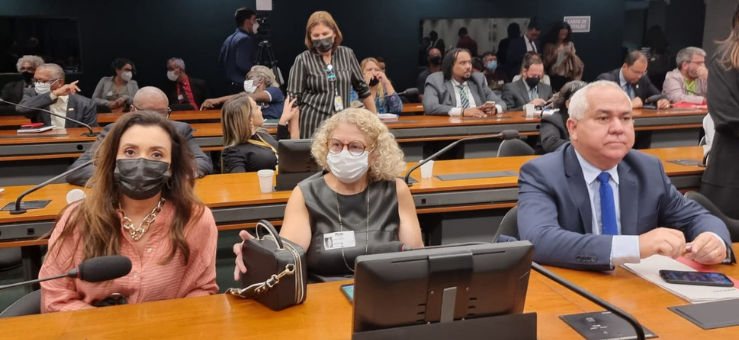 Recomposição salarial: em audiência pública Fenajufe critica governo e defende unidade na luta