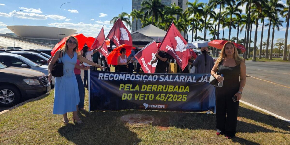SitraAM/RR participa de mobilização nacional em Brasília pela reestruturação da carreira e derrubada do veto 45/2025