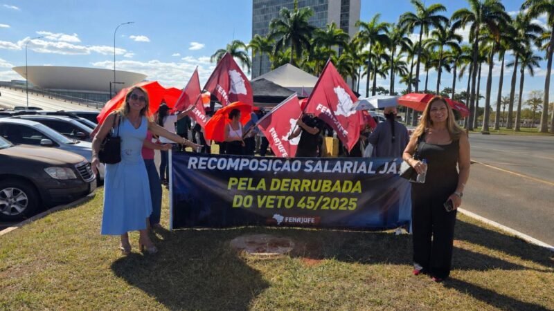 SitraAM/RR participa de mobilização nacional em Brasília pela reestruturação da carreira e derrubada do veto 45/2025