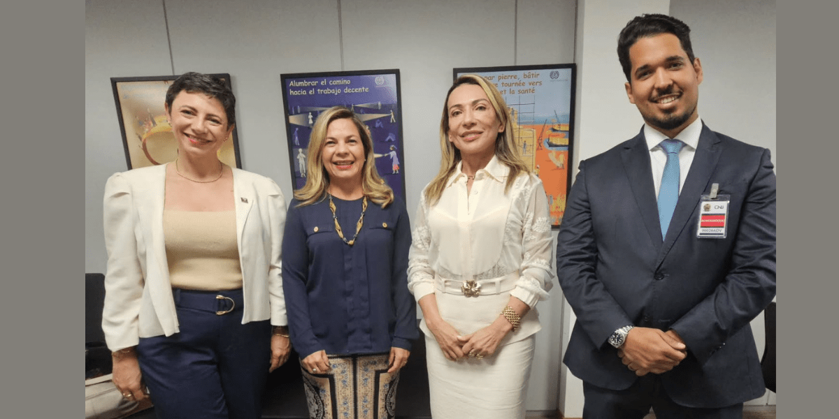 Fenajufe e SitraAM/RR reúnem com nova coordenação do Fórum de Carreira do CNJ