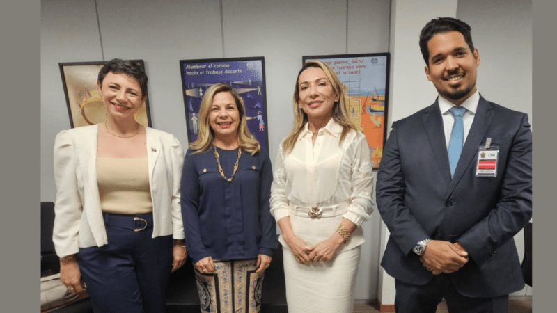 Fenajufe e SitraAM/RR reúnem com nova coordenação do Fórum de Carreira do CNJ